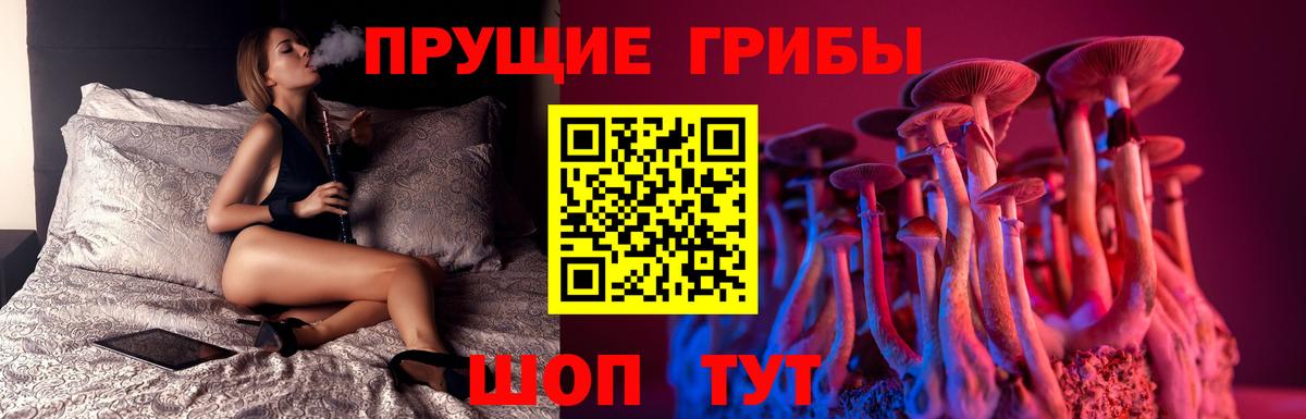 Галлюциногенные грибы мицелий  даркнет сайт  Скопин  Галлюциногенные грибы мицелий  Вход с VPN 
